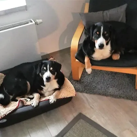 Prázdninový dům Mia, Urlaub Mit Hund, Eingezaeunter Garten, Friedrichskoog-spitze Friedrichskoog