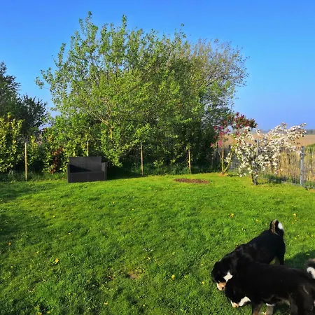 Mia, Urlaub Mit Hund, Eingezaeunter Garten, Friedrichskoog-spitze